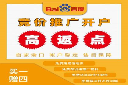某企业通过搜索开户返点实现盈利增长